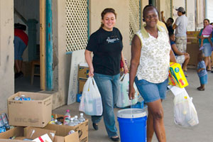 Carrying groceries and cleaning supplies to car